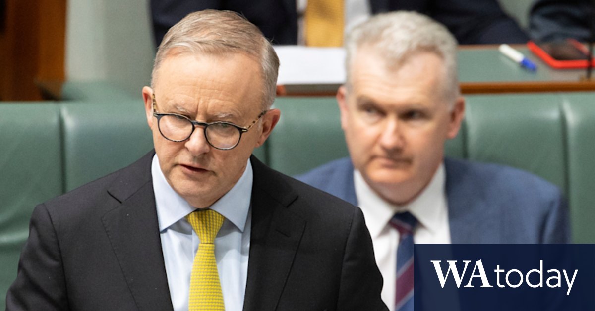 Anthony Albanese braces for extra parliament sittings for Senate to debate IR laws - Vimarsana News