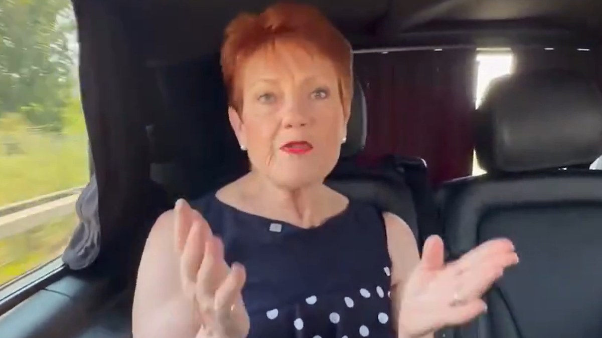 Pauline Hanson hits back at Angus Taylor in video from London | Nine.com.au