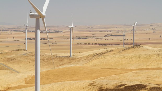 Renewable energy powerhouse: The Hallett Wind Farm in South Australia. 