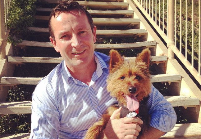 Pet shop s puppy sales continue as justice for Strawberry the