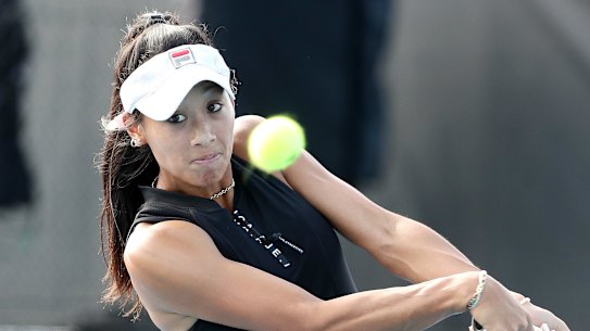 AIDE, AUSTRALIA - JANUARY 03:  Priscilla Hon of Australia competes against  Priscilla Hon of Australia during day three of the 2023 Adelaide International at Memorial Drive on January 03, 2023 in Adelaide, Australia. (Photo by Sarah Reed/Getty Images
