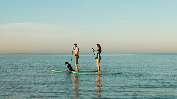 More and more women are choosing not to have kids.