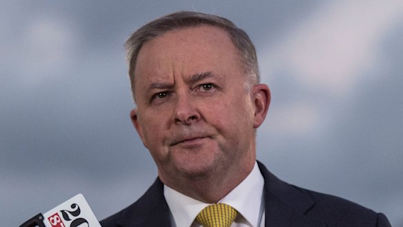 Anthony Albanese is expected to be the only nominee for Labor leader when the deadline passes on Monday. 