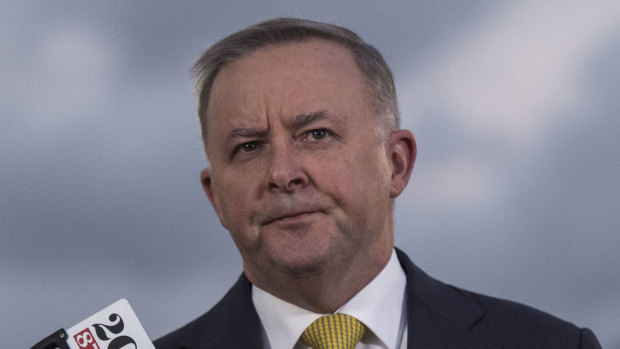 Anthony Albanese is expected to be the only nominee for Labor leader when the deadline passes on Monday. 