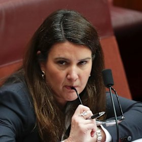 Victorian Liberal senator Jane Hume said a "sensible government" would not build a coal-fired power station.