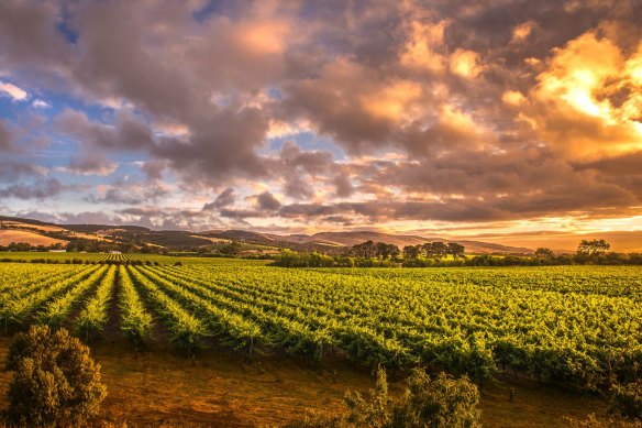 The Barossa Valley in South Australia would be a great escape from Melbourne right about now.