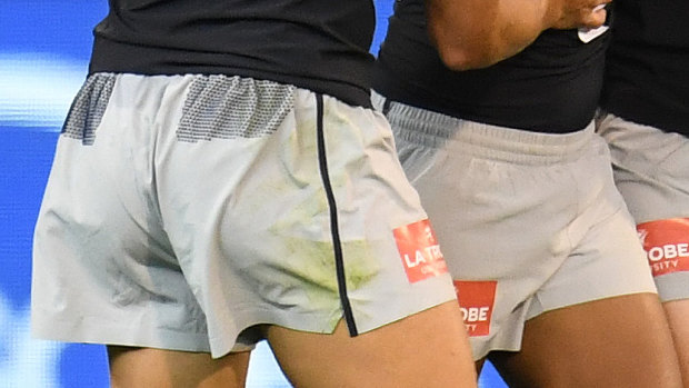 The shorts feature chamois patches on the back.