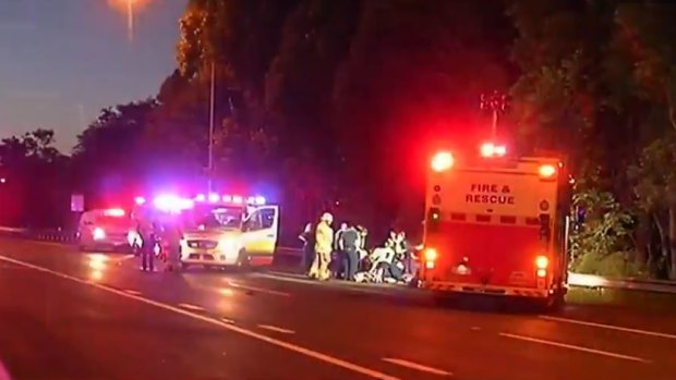 A man has died after being hit by a bus on the Pacific Motorway in Brisbane's south.
