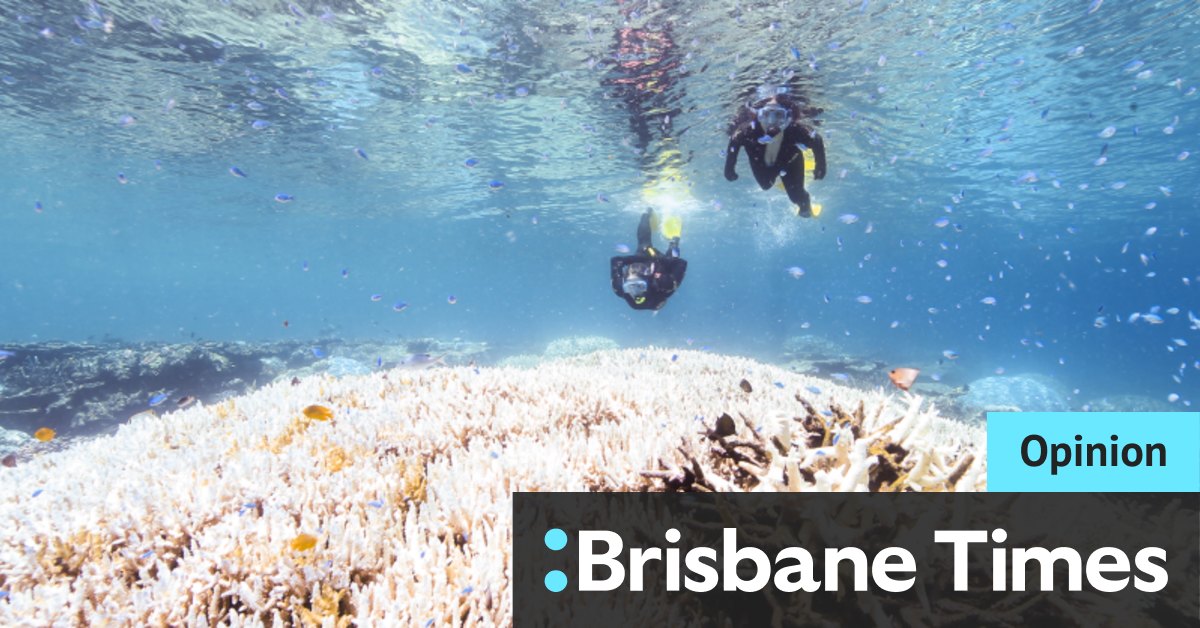 Labor misses burning issue on UNESCO’s ‘in danger’ rating for Great Barrier Reef - Brisbane Times