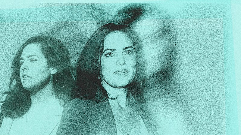 The meteoric rise and bitter downfall of Moira Deeming