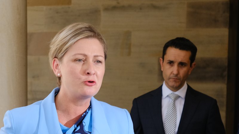Minister said new panel would take on DV reform update work. It hasn’t