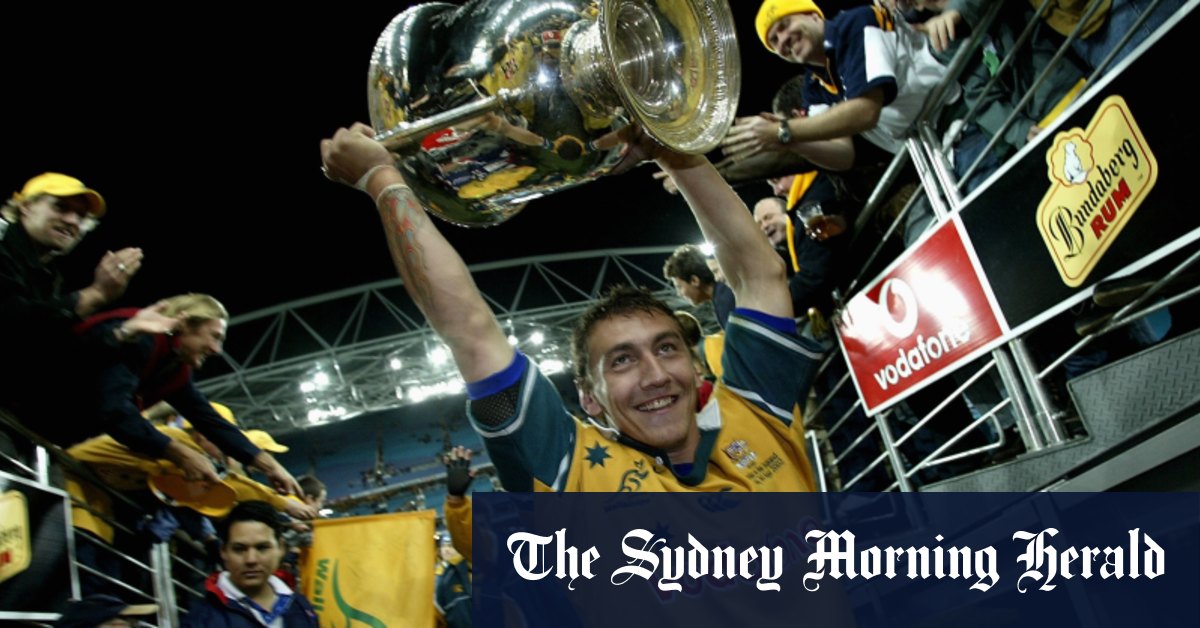 After 20 years of pain, when will the Wallabies win back the Bledisloe Cup?