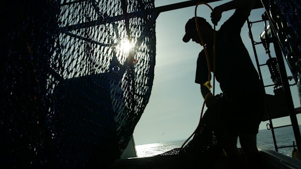 Around 65 per cent of the seafood we eat is imported, so it’s critical that we know what’s on our plate and where it came from.