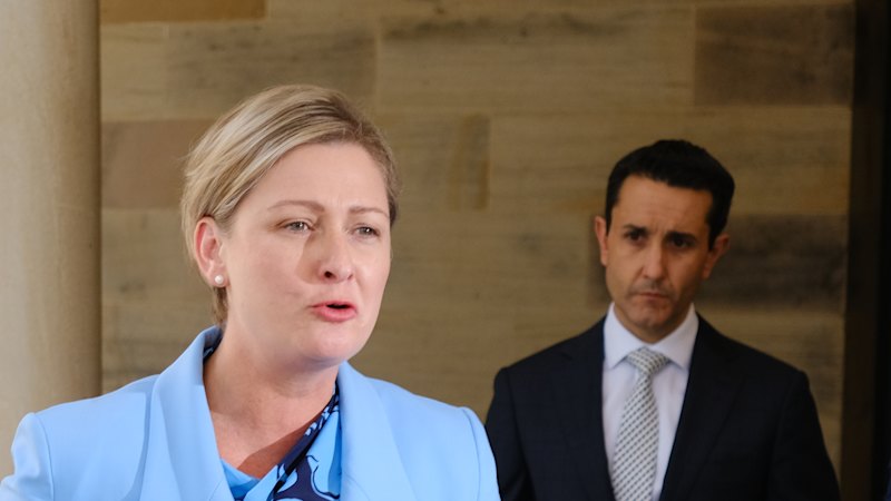 ‘Systemic failure, ballooning costs’: Government to spend $20m on child safety inquiry