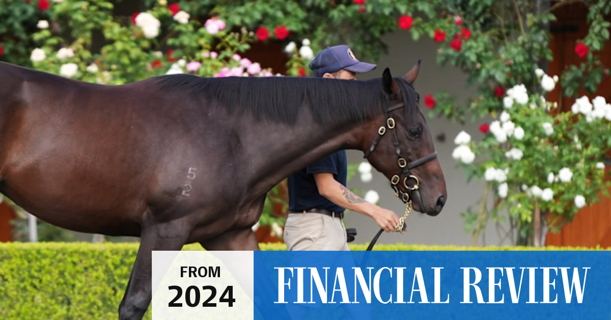 Winx’s first live foal is for sale. Like her champion thoroughbred ...