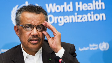 Tedros Adhanom Ghebreyesus says vaccination could be "another brick in the world" between the haves and have-nots.