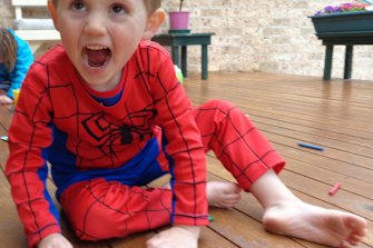 William Tyrrell vanished in 2014  dressed in his Spider-Man suit.