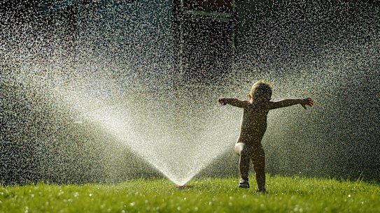 Australians have long been sold on the merits of the large backyard, but are they really important?