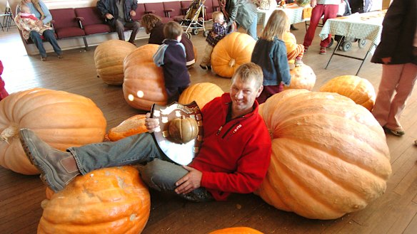 Some of the behemoths of the Collector Pumpkin Festival.