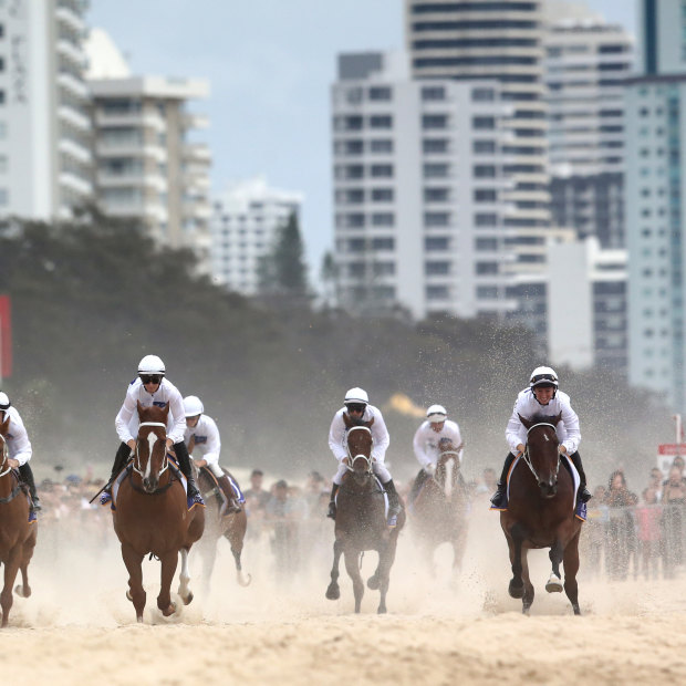 Horses gallop on Surfers Paradise Beach prior to the 2020 Magic Millions barrier draw. 