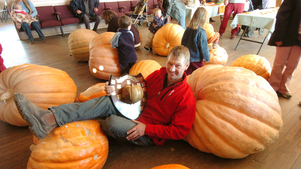 Some of the behemoths of the Collector Pumpkin Festival.