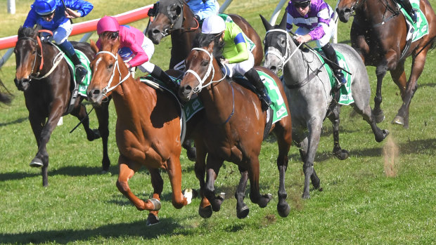 Superium, left, and True Detective come together near the finish of the Up And Coming Stakes at Randwick.