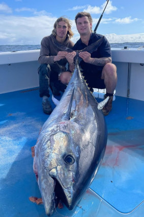 Jack and Max Carmichael with the 135kg southern blue fin tuna their mate Ryan “Crumb” Gazzola caught earlier this month.
