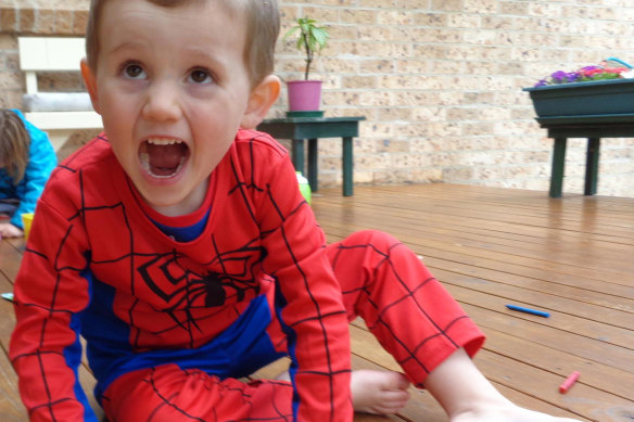 William Tyrrell, who vanished in 2014, dressed in his Spider-Man suit.