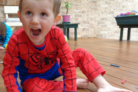 William Tyrrell vanished in 2014.