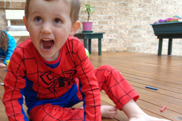 William Tyrrell vanished from Kendall in September 2014.