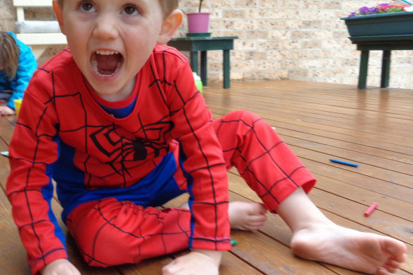 William Tyrrell vanished in 2014  dressed in his Spider-Man suit.