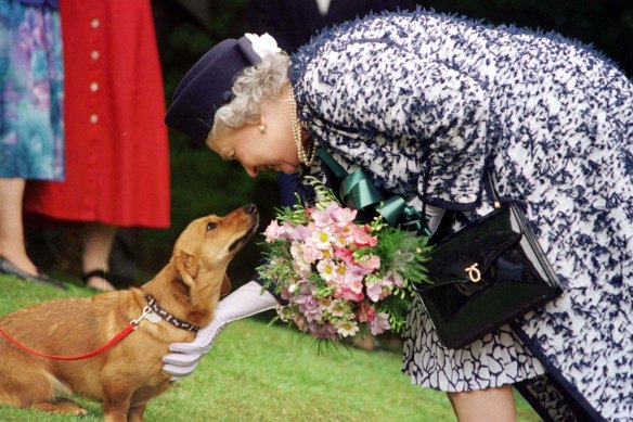 Queen Elizabeth II in 1998 with one of her Corgis.