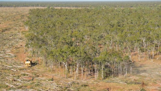 "Within three years clearing rates of remnant native vegetation in Queensland increased from 59,800 hectares in 2012-13 to 138,000 hectares 2015-16," Dr Anthony Lynham told parliament.