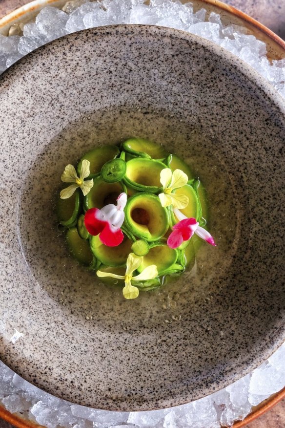 Shepherd avocado and lime.