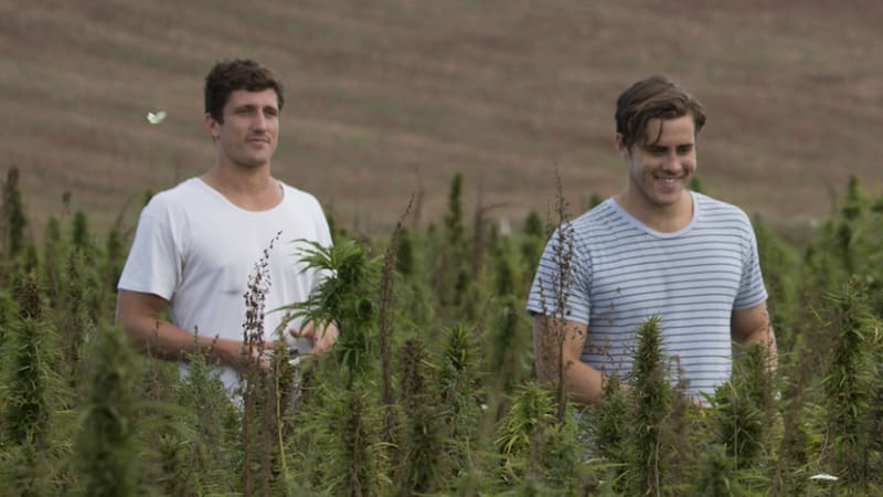 Image result for Nathan McNiece and Tim Crow