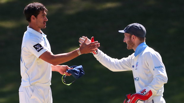 Strike weapon: Mitchell Starc celebrates with NSW captain Peter Nevill after taking his 10th wicket for the match against Tasmania at Drummoyne Oval.