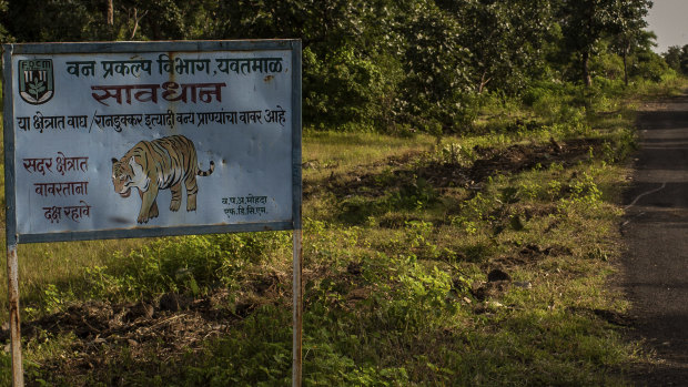 A sign warns of tigers along a road that cuts through the Forest Reserve near Pandharkawada, India.