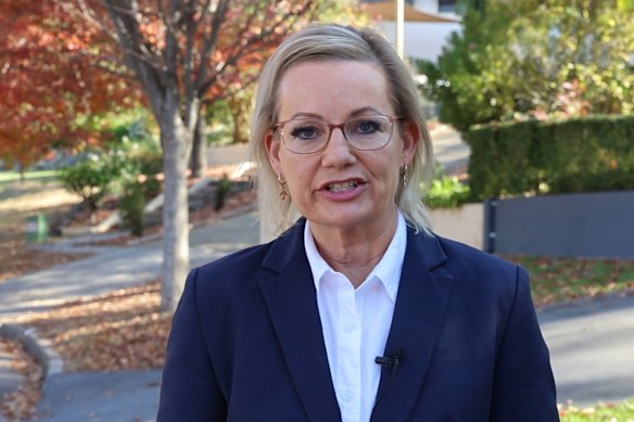 Sussan Ley in a still from her video leadership pitch.
