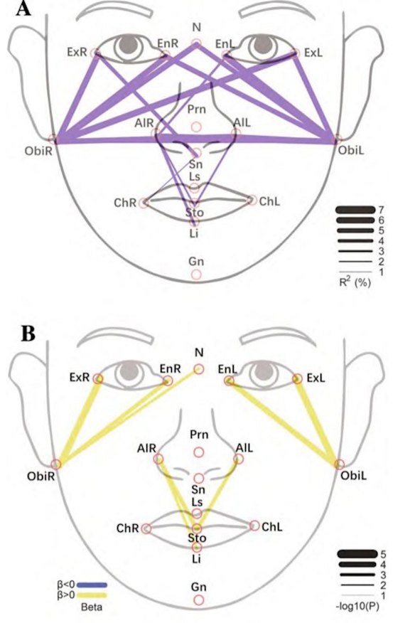 Phenotyping is being studied around the world.