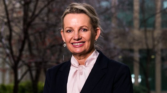 Sussan Ley was elected deputy leader of the Liberal Party in 2022.