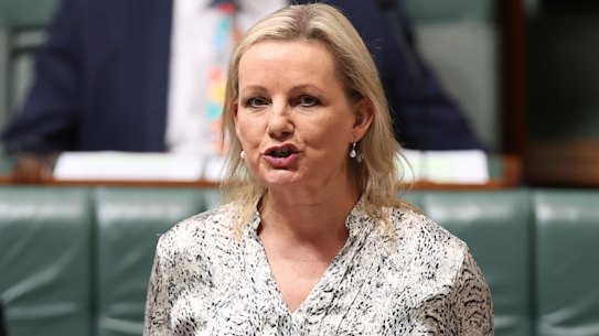 Environment Minister Sussan Ley. 