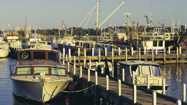 Fishing boats in Victoria.