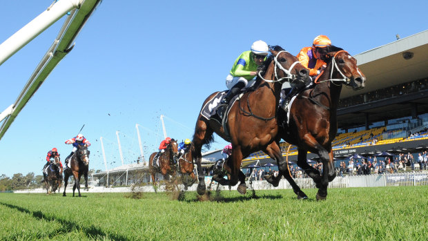 There are nine races scheduled for Rosehill on Saturday.