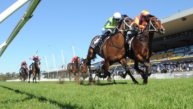 Big ticket item: Spend (right) and True Detective clear away to fight out the finish at Rosehill.