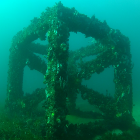 The Bunbury artificial reef, made of concrete modules, was completed in 2013.  