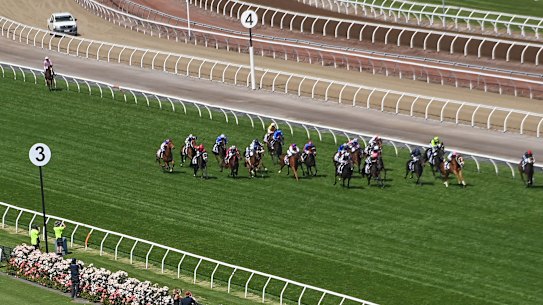 Changes have been made to the safety measures imposed on international horses wishing to compete in the Melbourne Cup.