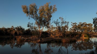 The source aquifer for the Doongmabulla  Springs is not known, fuelling fears that the coal mine will damage the rare desert oasis.