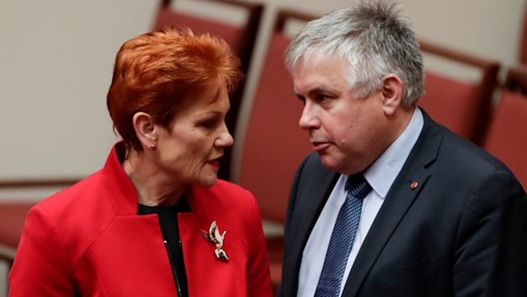 One Nation's Pauline Hanson and Centre Alliance's Rex Patrick are negotiating with the government over its three-stage tax package.