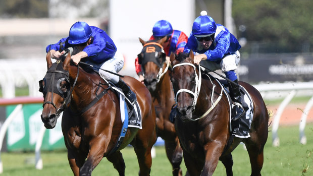 Too good: Winx looms up and goes past Happy Clapper in the George Ryder Stakes last year.
