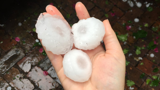 The severe thunderstorm that swept across Sydney on Thursday evening dropped giant hailstones in parts of the city.
